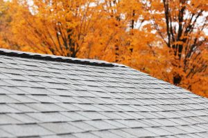 New Roof Ridge Vent New Roof Ridge Vent